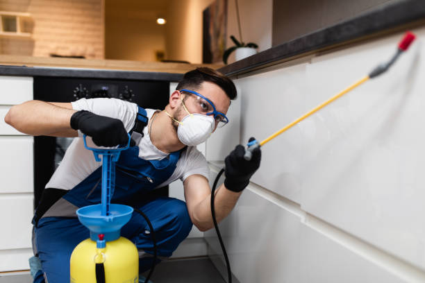Best Pest Removal Services  in Lakeview, MI