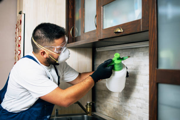 Best Rat Extermination Near Me  in Lakeview, MI