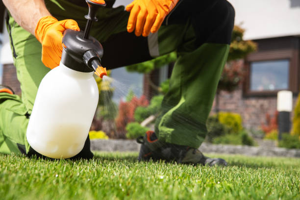 Best Affordable Pest Control Services  in Lakeview, MI