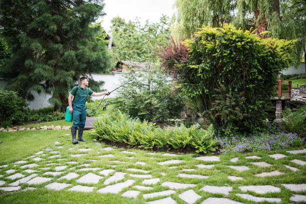 Best Pest Control Near Me  in Lakeview, MI