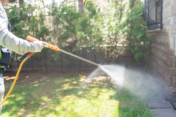 Best Residential Pest Control  in Lakeview, MI