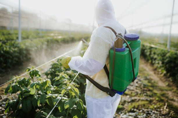 Reliable Lakeview, MI Pest Control Solutions